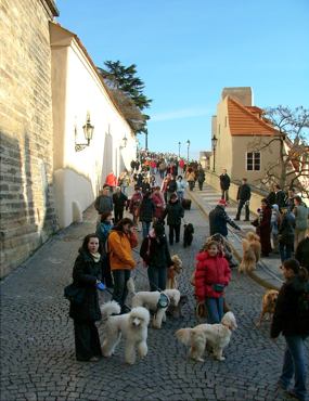 Od hradu do Nerudovy ulice