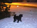 Lilu ťapká ve sněhu